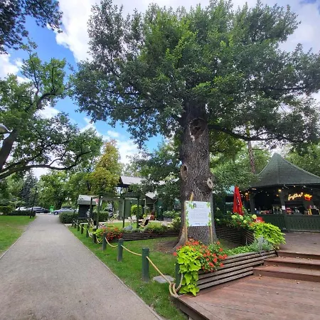 Apartment Aquarius Kilinskiego 3